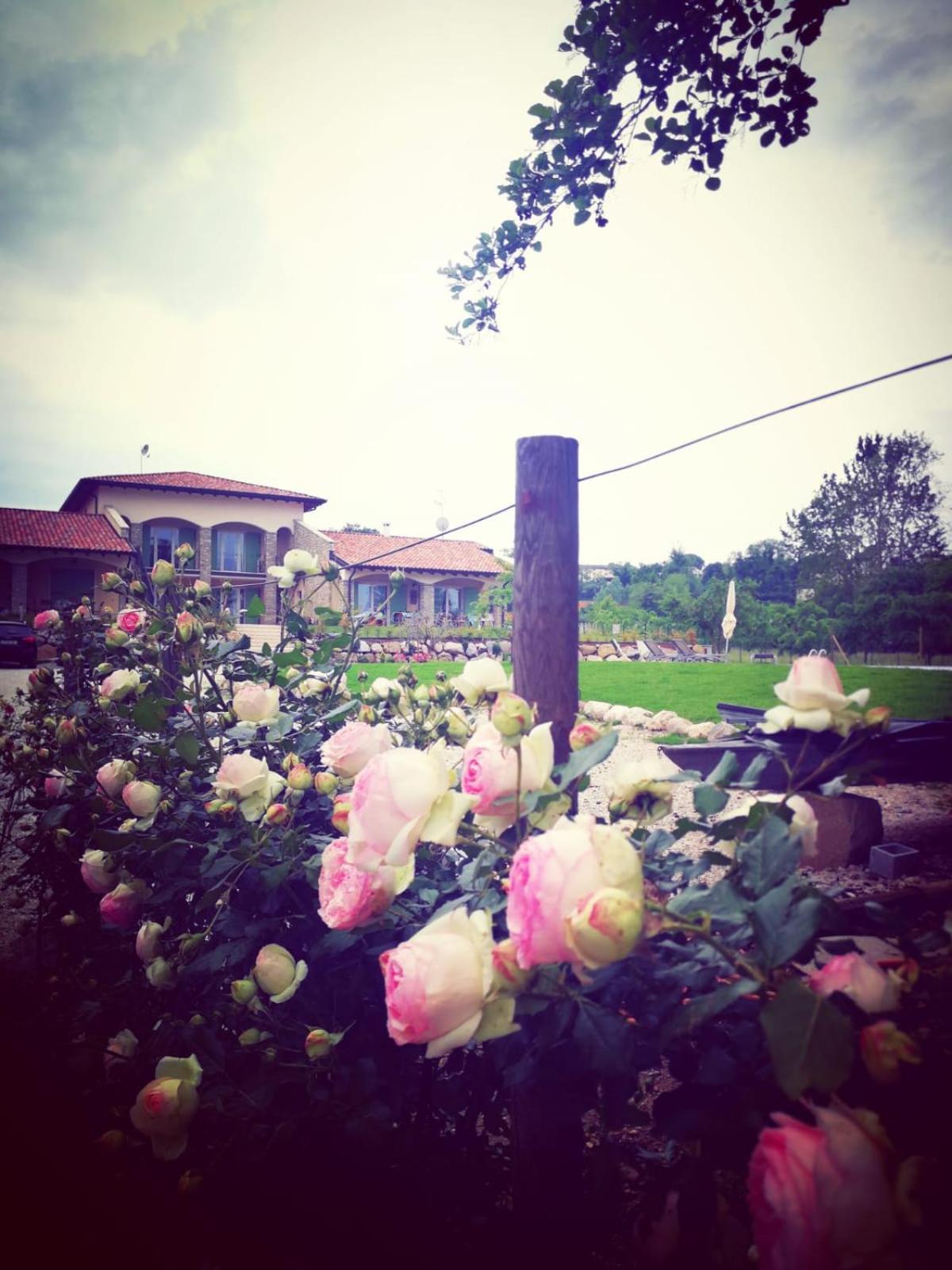 Bed & Breakfast Orchidea Del Garda Peschiera del Garda